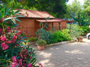 Chalet monolocale Vieste